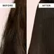 We Are Paradoxx Professional Repair Shampoo 975 ml, bilde 2