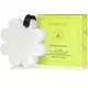Spongelle Boxed White Flower Coconut Verbena 1pc