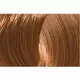 L'ANZA Healing Color 7B (7/2) Mørk beige blond 60 ml, bilde 2