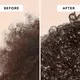 We Are Paradoxx Moisture Hangover Hair Elixir 75 ml, bilde 3