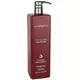 L'ANZA Healing Colorcare Trauma Treatment 1000ml, image 3