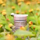 Jurlique Nutri Define Supreme Eye Contour balsam 15 ml, bilde 2