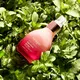 Jurlique Herbal Recovery Signature serum 50ml, image 3