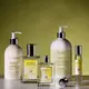 Acca Kappa Green Mandarin body lotion 300 ml, bilde 3