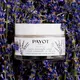 Payot Pv Herbier Creme Universelle Visage Lavande 50 ml, bilde 5