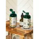 The Body Shop Ginger shampoo 400ml, image 2