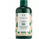 The Body Shop Shea shampoo 250ml