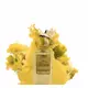 Nobile 1942 Cafe Chantant Eau De Parfum 75ml, image 3