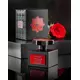 Kajal The Warde Collection Joorie Eau De Parfum 100 ml, image 3