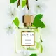 Dusita Cavatina Eau de Parfum 50ml, image 3 Dusita Cavatina Eau de Parfum 50ml, image 3