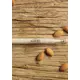 The Body Shop Mandel negle- og neglebåndsolje 1,8 ml, bilde 3