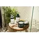 The Body Shop Shea conditioner 250ml, image 3