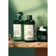 The Body Shop Tea Tree conditioner 250ml, image 3