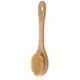 The Body Shop Cactus Long Handle brush