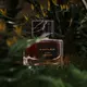 Eight & Bob Le Geste D'edmond Extrait De Parfum 50 ml, bilde 4