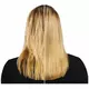 Redken Extreme Anti-Snap Leave-In Treatment 250 ml, image 5