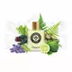 J.F.Schwarzlose Fougair Eau de Parfum 50 ml, bilde 3