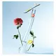 Eau de toilette Kenzo Flower by Kenzo 30 ml, image 4