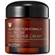 Mizon All In One Snail Repair Cream 75 g